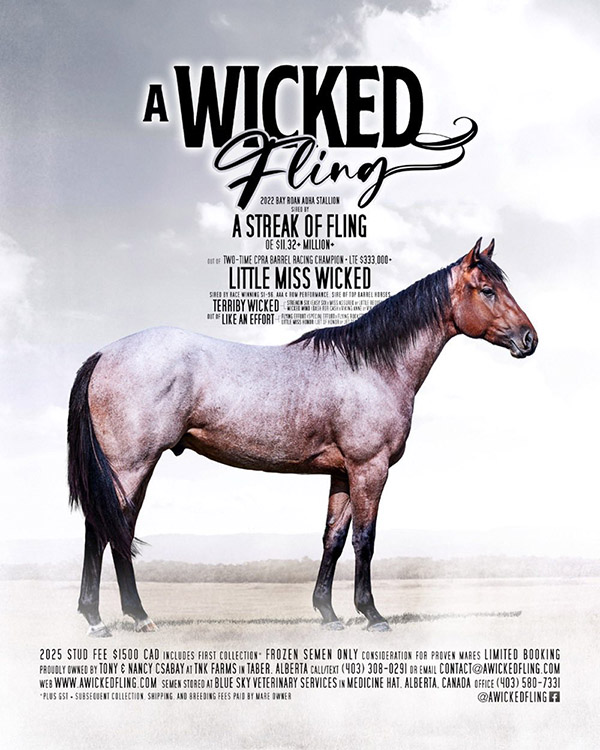 A Wicked Fling X A Streak Of Fling out of two-time CPRA Barrel Racing Champion Little Miss Wicked